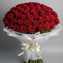 Букет 101 Красная роза Блэк Мэджик в Левой Россоши