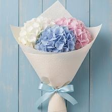Букет цветов из:  Гортензия в Левой Россоши