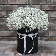 Цветочная композиция из Гипсофила в шляпной коробке в Левой Россоши