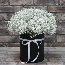 Цветочная композиция из Гипсофила в шляпной коробке в Левой Россоши